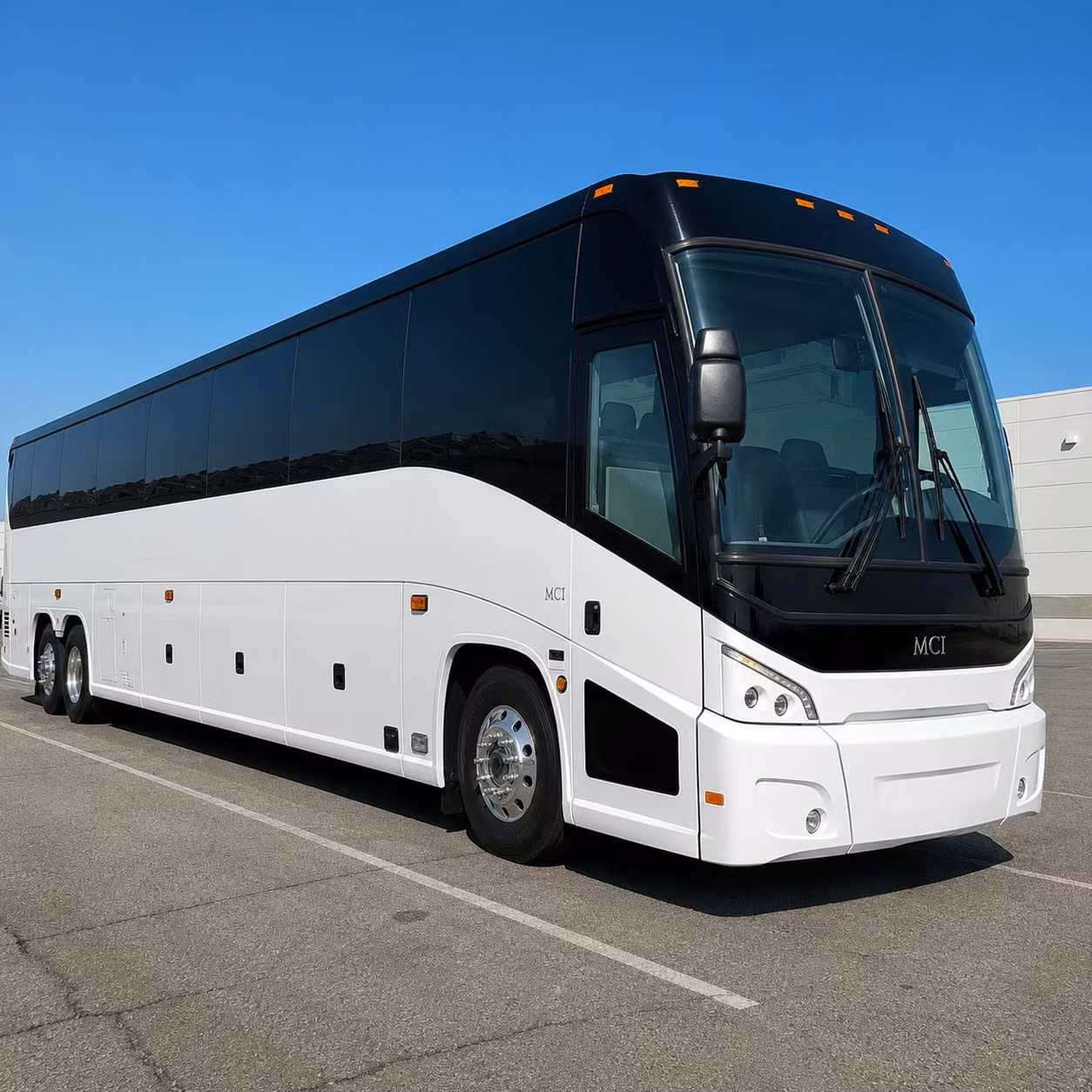 glendale schools trust charter bus rentals for wildlife world zoo and aquarium trips